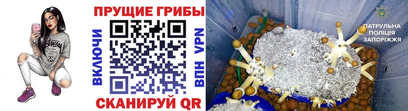 Купить закладки  Нижнекамск  Галлюциногенные грибы мухоморы 