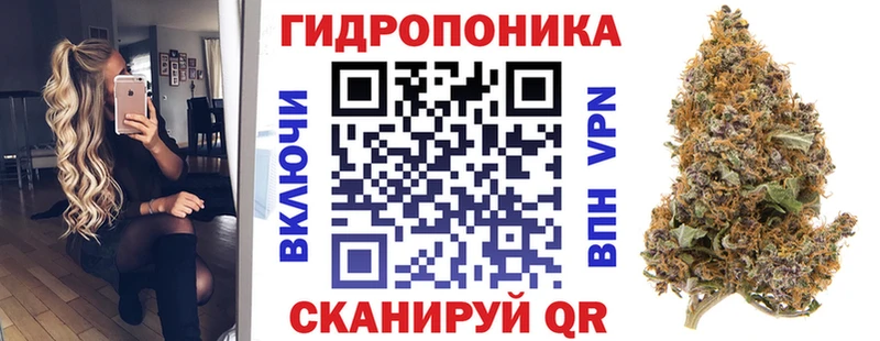 Купить закладки  Нижнекамск  Бошки Шишки White Widow 